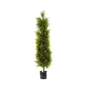 Artificial Cypress Pine Tree, 150cm by Florabelle, a Plants for sale on Style Sourcebook