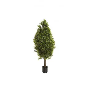 Artificial Boxwood Cone Topiary Tree, 90cm by Florabelle, a Plants for sale on Style Sourcebook