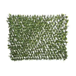 Artificial Serrated Leaf Trellis, 200cm by Florabelle, a Plants for sale on Style Sourcebook