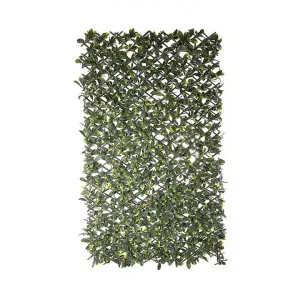 Artificial Laurel Leaf Trellis, 200cm by Florabelle, a Plants for sale on Style Sourcebook