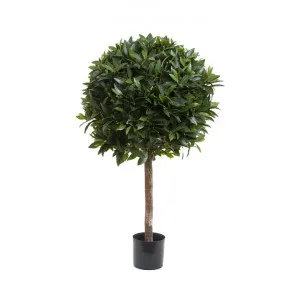 Artificial Laurel Ball Topiary Tree, 110cm by Florabelle, a Plants for sale on Style Sourcebook