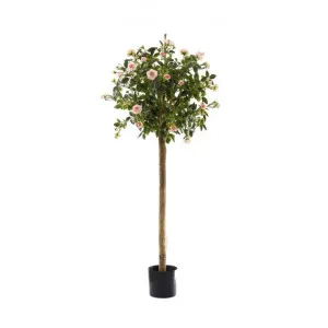 Artificial Diamond Rose Ball Tree, Pink Flower, 120cm by Florabelle, a Plants for sale on Style Sourcebook