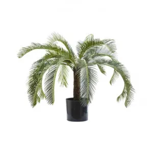Artificial Cycus Palm, 80cm by Florabelle, a Plants for sale on Style Sourcebook