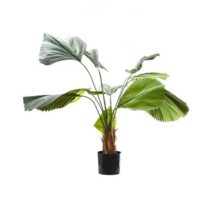 Artificial Fan Palm, 122cm by Florabelle, a Plants for sale on Style Sourcebook