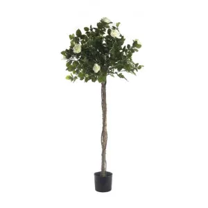 Artificial Rose Topiary Tree, White Flower, 140cm by Florabelle, a Plants for sale on Style Sourcebook