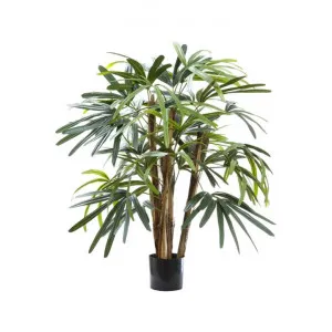 Artificial Raphis Palm, 100cm by Florabelle, a Plants for sale on Style Sourcebook
