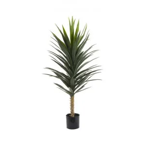 Artificial Yucca Plant, 130cm by Florabelle, a Plants for sale on Style Sourcebook