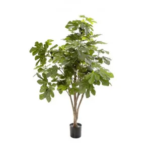 Artificial Fig Tree with Fruits, 70cm by Florabelle, a Plants for sale on Style Sourcebook