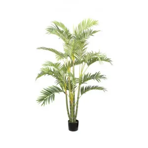 Artificial Multi Trunk Areca Palm, 150cm by Florabelle, a Plants for sale on Style Sourcebook