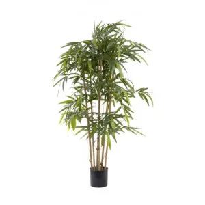 Artificial New Bamboo, 150cm by Florabelle, a Plants for sale on Style Sourcebook