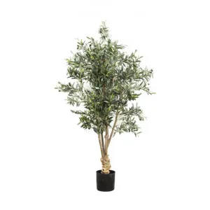 Potted Artificial Knotted Trunk Olive Tree, 150cm by Florabelle, a Plants for sale on Style Sourcebook