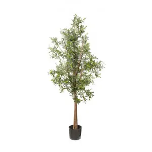 Potted Artificial Olive Tree, 170cm by Florabelle, a Plants for sale on Style Sourcebook