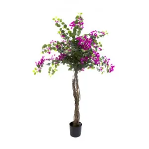 Artificial Bougainvillea Tree, 160cm by Florabelle, a Plants for sale on Style Sourcebook