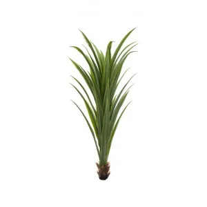 Unpotted Artificial Dracaena Plant, 120cm by Florabelle, a Plants for sale on Style Sourcebook