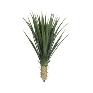 Artificial Yucca Rostrata, 65cm by Florabelle, a Plants for sale on Style Sourcebook
