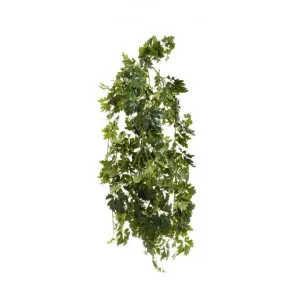 Artificial Cissus Bush, 110cm by Florabelle, a Plants for sale on Style Sourcebook