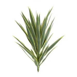 Artificial Yucca Plant Head, Variegated Green by Florabelle, a Plants for sale on Style Sourcebook
