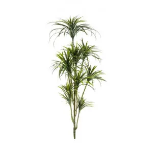 Unpotted Artificial Yucca Plant, 180cm by Florabelle, a Plants for sale on Style Sourcebook