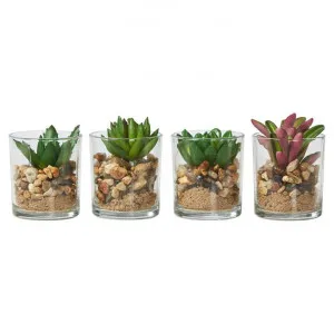Set of 4 Assorted Faux Succulent Plants, Small by Casa Sano, a Plants for sale on Style Sourcebook