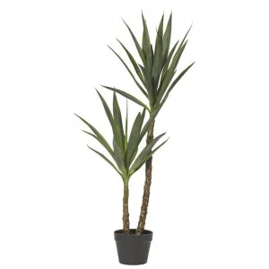 Potted Artificial Dracaena Tree, 112cm by Rogue, a Plants for sale on Style Sourcebook