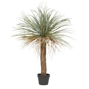 Potted Artificial Grass Tree, 110cm by Rogue, a Plants for sale on Style Sourcebook
