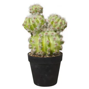 Potted Artificial Barrel Cactus, 26cm by Casa Sano, a Plants for sale on Style Sourcebook