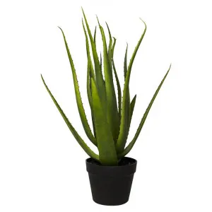 Potted Artificial Aloe Vera, 58cm by Casa Sano, a Plants for sale on Style Sourcebook