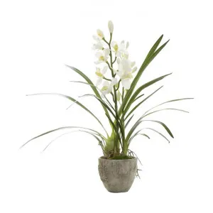 Kira Artificial Cymbidium Orchid in Ceramic Pot by Florabelle, a Plants for sale on Style Sourcebook