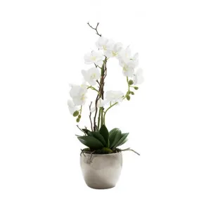 Finch Artificial Orchid Flower in Ceramic Pot by Florabelle, a Plants for sale on Style Sourcebook