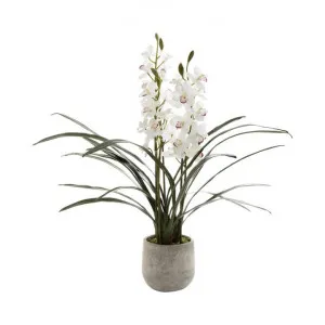 Parkes Artificial Cymbidium Orchid in Ceramic Pot by Florabelle, a Plants for sale on Style Sourcebook