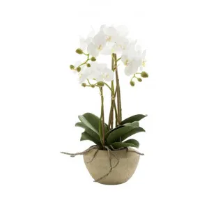 Siana Artificial Orchid Flowerin Stone Pot, Small by Florabelle, a Plants for sale on Style Sourcebook