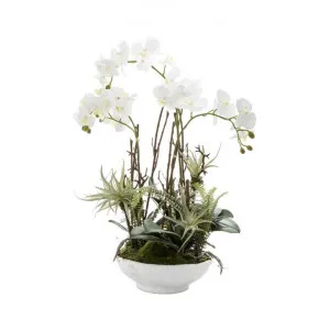 Jonty Artificial Orchid Flower in Ceramic Pot by Florabelle, a Plants for sale on Style Sourcebook