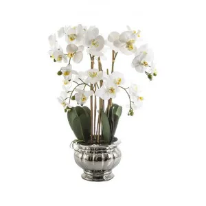 Petty Artificial Orchid Flower in Ceramic Pot by Florabelle, a Plants for sale on Style Sourcebook