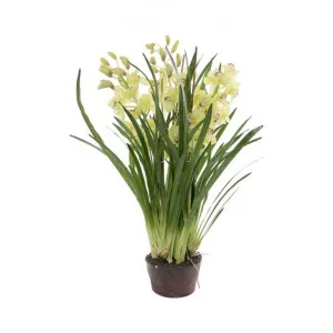 Tonya Artificial Cymbidium Orchid in Paper Pot, Light Green by Florabelle, a Plants for sale on Style Sourcebook