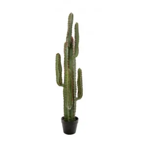 Arla Potted Artificial Cactus, 115cm by Florabelle, a Plants for sale on Style Sourcebook