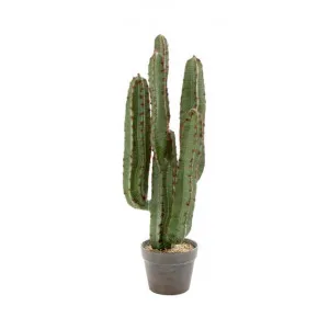 Arla Potted Artificial Cactus, 82cm by Florabelle, a Plants for sale on Style Sourcebook
