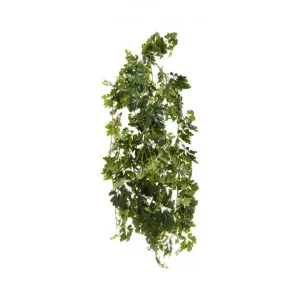 Artificial Cissus Ellen Danica Plant, 110cm by Florabelle, a Plants for sale on Style Sourcebook