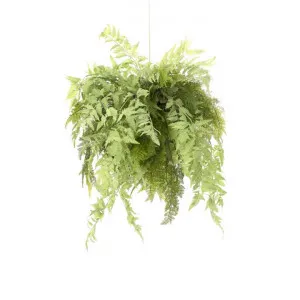 Hanging Artificial Fern, 75cm by Florabelle, a Plants for sale on Style Sourcebook