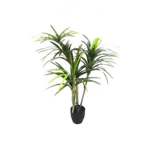 Potted Real Touch Artificial Yucca Tree, 125cm by Florabelle, a Plants for sale on Style Sourcebook