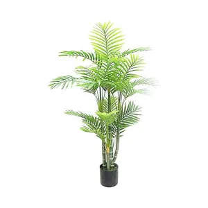 Potted Real Touch Artificial Palm Tree, 125cm by Florabelle, a Plants for sale on Style Sourcebook