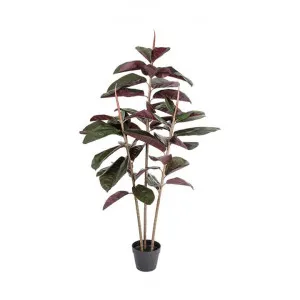 Potted Real Touch Artificial Rubber Tree, 145cm by Florabelle, a Plants for sale on Style Sourcebook