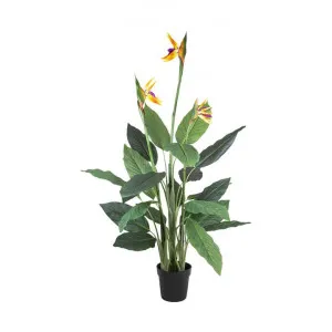 Potted Artificial Bird of Paradise Plant with Flower, 150cm by Florabelle, a Plants for sale on Style Sourcebook