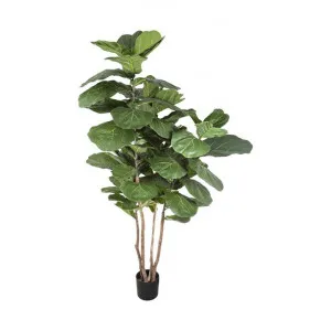 Potted Artificial Fiddle Leaf Fig Tree, 190cm by Florabelle, a Plants for sale on Style Sourcebook