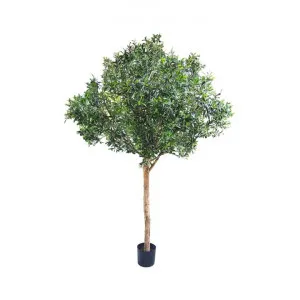 Potted Artificial Olive Topiary Tree, 230cm by Florabelle, a Plants for sale on Style Sourcebook