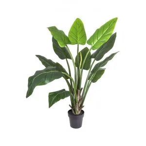 Potted Real Touch Artificial Philodendron Plant, 140cm by Florabelle, a Plants for sale on Style Sourcebook