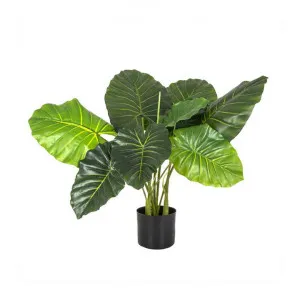 Potted Real Touch Artificial Philodendron Plant, 68cm by Florabelle, a Plants for sale on Style Sourcebook