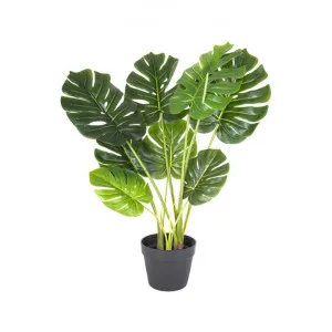 Potted Real Touch Artificial Monstera Deliciosa Plant, 85cm by Florabelle, a Plants for sale on Style Sourcebook