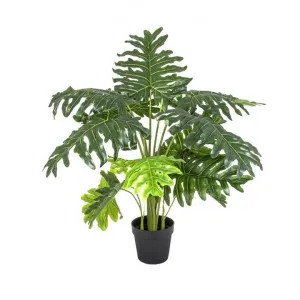 Potted Artificial Split Leaf Philodendron Plant, 110cm by Florabelle, a Plants for sale on Style Sourcebook