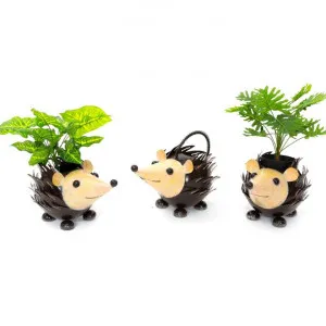 Avni 3 Piece Metal Hedgehog Planter Set by CHL Enterprises, a Plant Holders for sale on Style Sourcebook