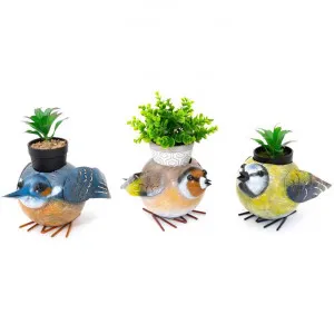 Quirky 3 Piece Metal Bird Planter Set by CHL Enterprises, a Plant Holders for sale on Style Sourcebook